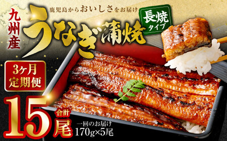 JS-224【3カ月定期便】 九州産うなぎ蒲焼 約170g×5尾×3回