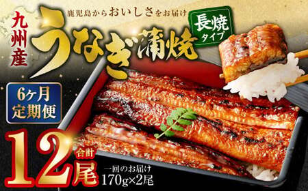 IS-210【6カ月定期便】九州産 うなぎ蒲焼 (約170g×2尾 6回) 計12尾 うなぎ 蒲焼 鹿児島県 薩摩川内市