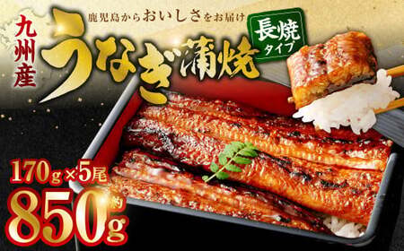 九州産 無頭うなぎ蒲焼 約170g×5尾 計850g 国産 うなぎ 蒲焼 鹿児島県 薩摩川内市 DSR-102