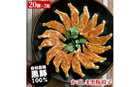 AS-021 かごしま黒豚餃子2箱 合計40個 ぎょうざ ギョーザ 薩摩八重ファーム 工房みかく亭