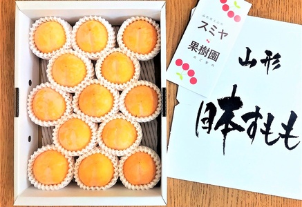 すもも（峰満イエロー）２ｋｇ　特秀品　0047-2608