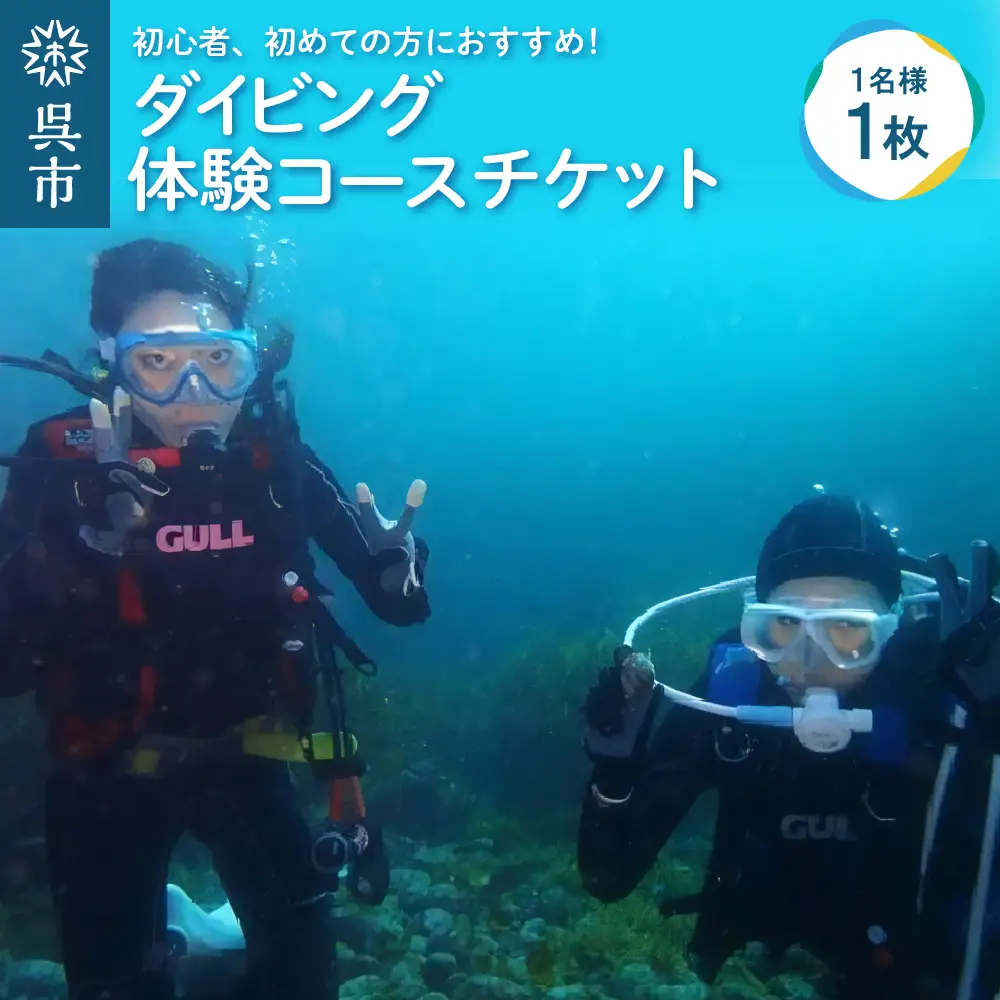 体験 ダイビングコース（1ダイブ）チケット 海 自然 写真撮影 思い出 初心者 アクティビティ マリンスポーツ ku017-001-r