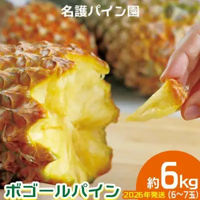 パイン 2026年発送【名護パイン園】ボゴールパイン約6kg（6～7玉） パイン