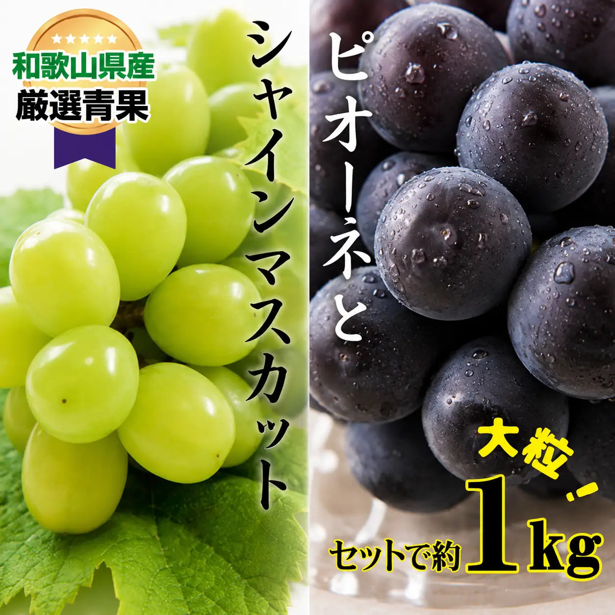 大人気 ぶどう セット 約1kg入 シャイン＆ピオーネ 【8月上旬～下旬発送】【A215-frks111】
