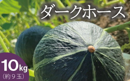 高評価★５！【2026年産先行受付】 かぼちゃ 北海道 10kg 甘い ホクホク 当麻町 阿部ファーム ダークホース カボチャ 南瓜 野菜 【AE-001】