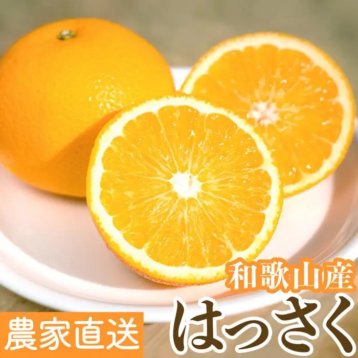 ［先行予約］和歌山県産はっさく秀品 10kg（L ～ 2L）［2027年1月中旬以降より順次発送］