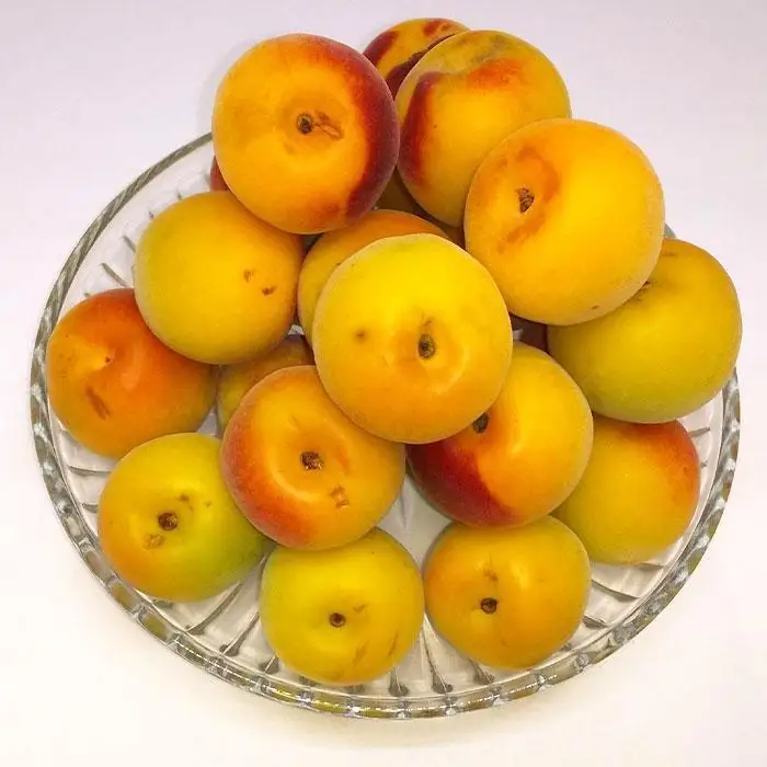 ［梅干しづくり用］紀州南高梅・優１０ｋg（３Ｌ）