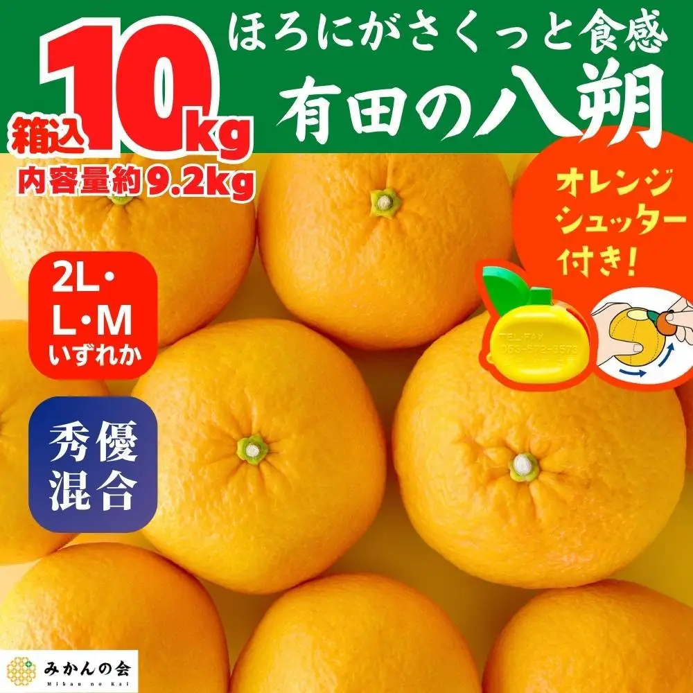 八朔 (はっさく) 玉ぞろい 箱込 10kg(内容量約 9.2kg) 2L L Mサイズのいずれか 秀品 優品 混合和歌山県産  産地直送［おまけ付き］［みかんの会］