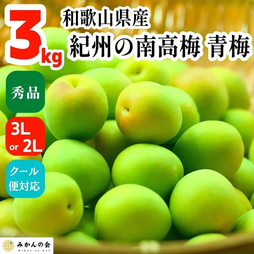 青梅 南高梅 3kg 秀品 3Lまたは2Lサイズ 和歌山県産 A品 梅酒作り用 梅ジュース作り用