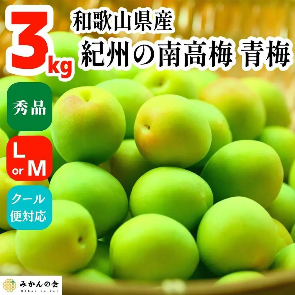青梅 南高梅 3kg 秀品 LまたはMサイズ 和歌山県産 A品 梅酒作り用 梅ジュース作り用