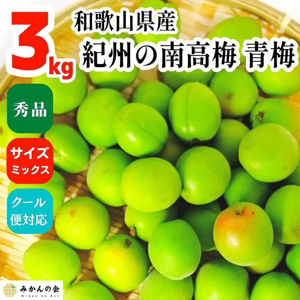 青梅 南高梅 3kg 秀品 サイズミックス  和歌山県産 A品 梅酒作り用 梅ジュース作り用