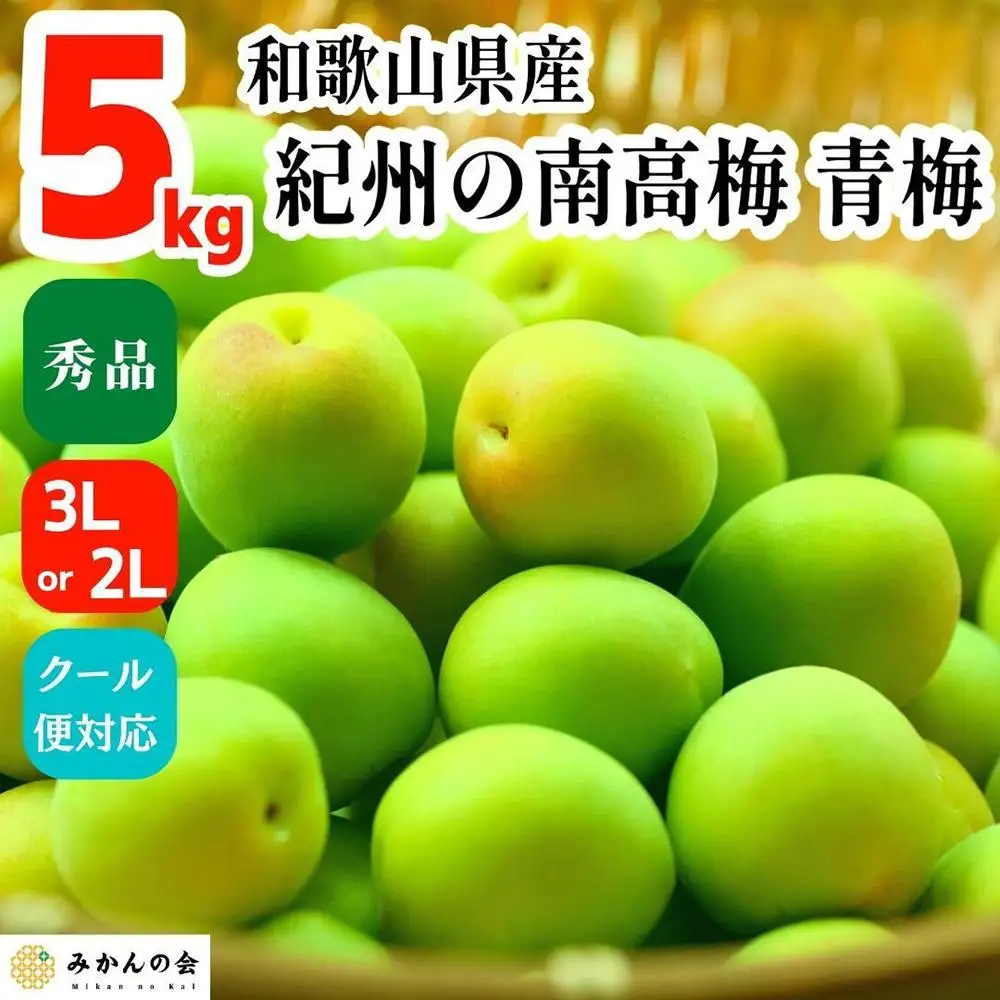 青梅 南高梅 5kg 秀品 3Lまたは2Lサイズ 和歌山県産 A品 梅酒作り用 梅ジュース作り用