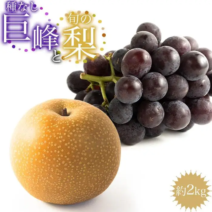 ［先行予約］種なし巨峰と旬の梨　約２kg［2026年8月上旬以降順次発送］