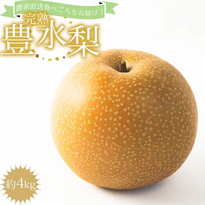 農家直送食べ頃をお届け！豊水梨　約４ｋｇ［2026年8月中旬以降順次発送］