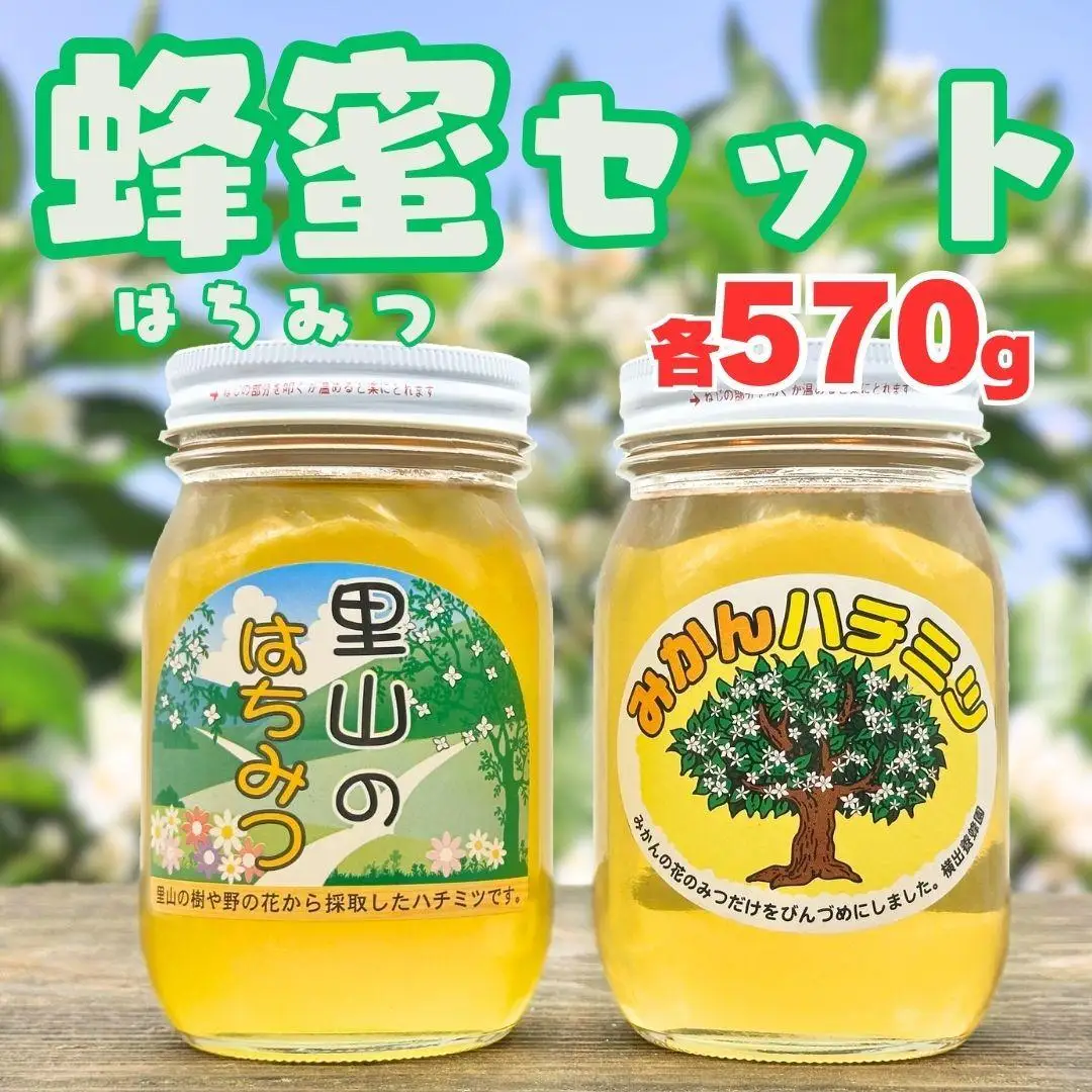 ありだみかん蜂蜜・ありだ里山の蜂蜜（各570ｇ）