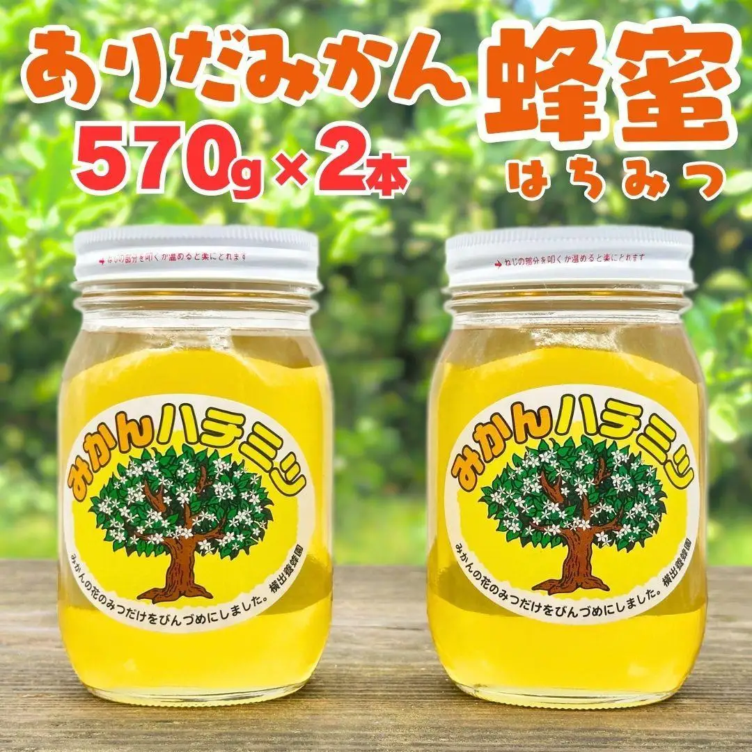 ありだみかん蜂蜜 2本セット（570ｇ×２本）