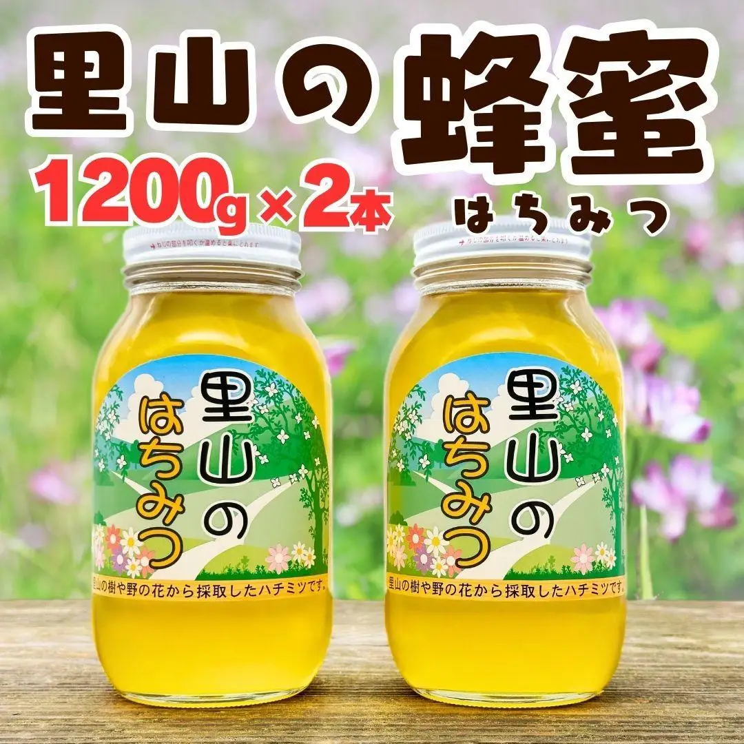 ありだ里山の蜂蜜（1200ｇ×2本セット）