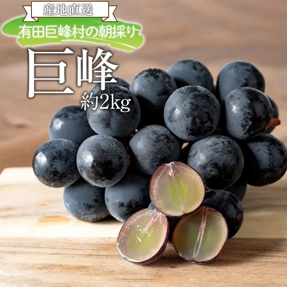 巨峰 約2kg 有田巨峰村 朝採り2026年8月中旬頃より順次発送