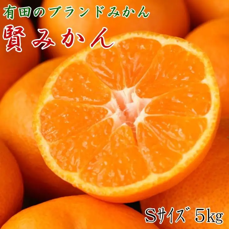 [秀品]有田のブランド「賢みかん」5kg(Sサイズ) ［2026年11月中旬頃より順次発送］
