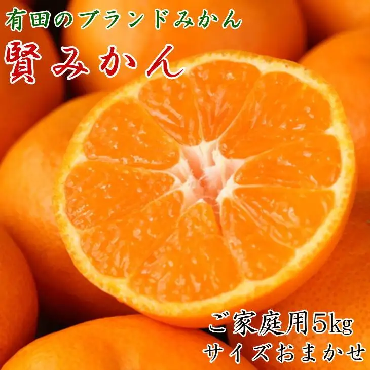有田のブランド「賢みかん」5kg(S～Lサイズおまかせ）ご家庭用［2026年11月中旬頃より順次発送］