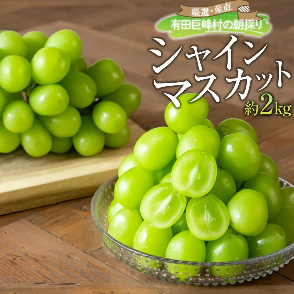 ［先行予約］シャインマスカット 約2kg  (3房～5房) 有田巨峰村 【朝採 新鮮】■2026年発送■※8月下旬頃から9月下旬頃まで順次発送予定 | ぶどう シャインマスカット ぶどう
