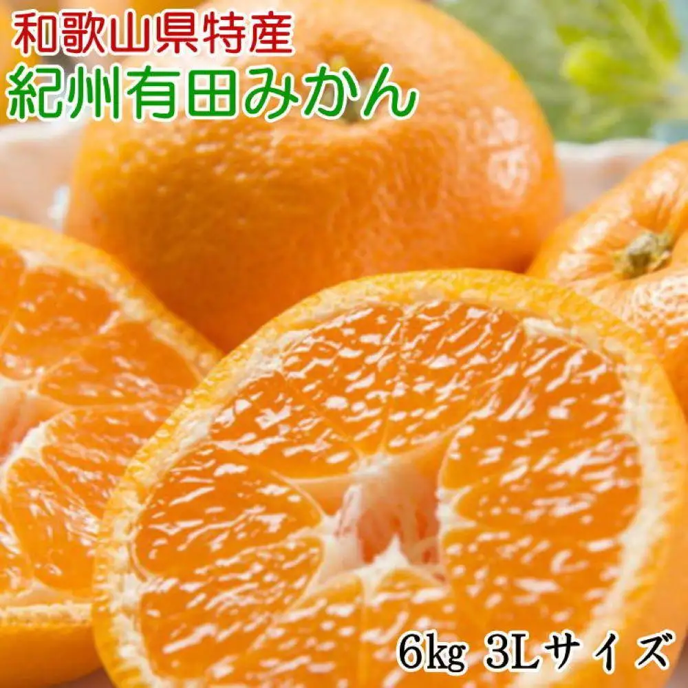 [秀品]和歌山有田みかん約6kg(3Lサイズ) ★2026年11月中旬頃より順次発送