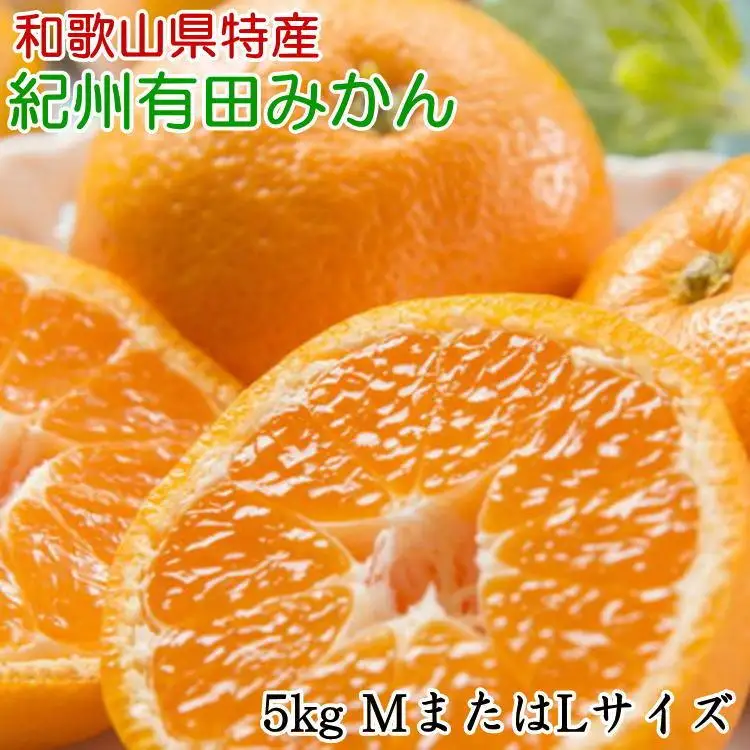 [秀品]和歌山有田みかん約5kg(MまたはLサイズ) ★2026年11月中旬頃より順次発送［TM98w］
