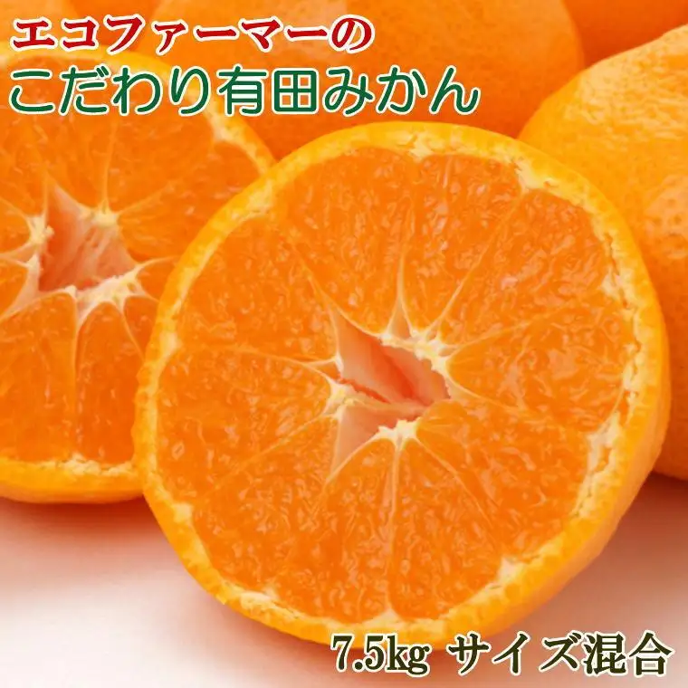 エコファーマーのこだわり有田みかん7.5kg（サイズ混合）★2026年11月中旬頃より順次発送