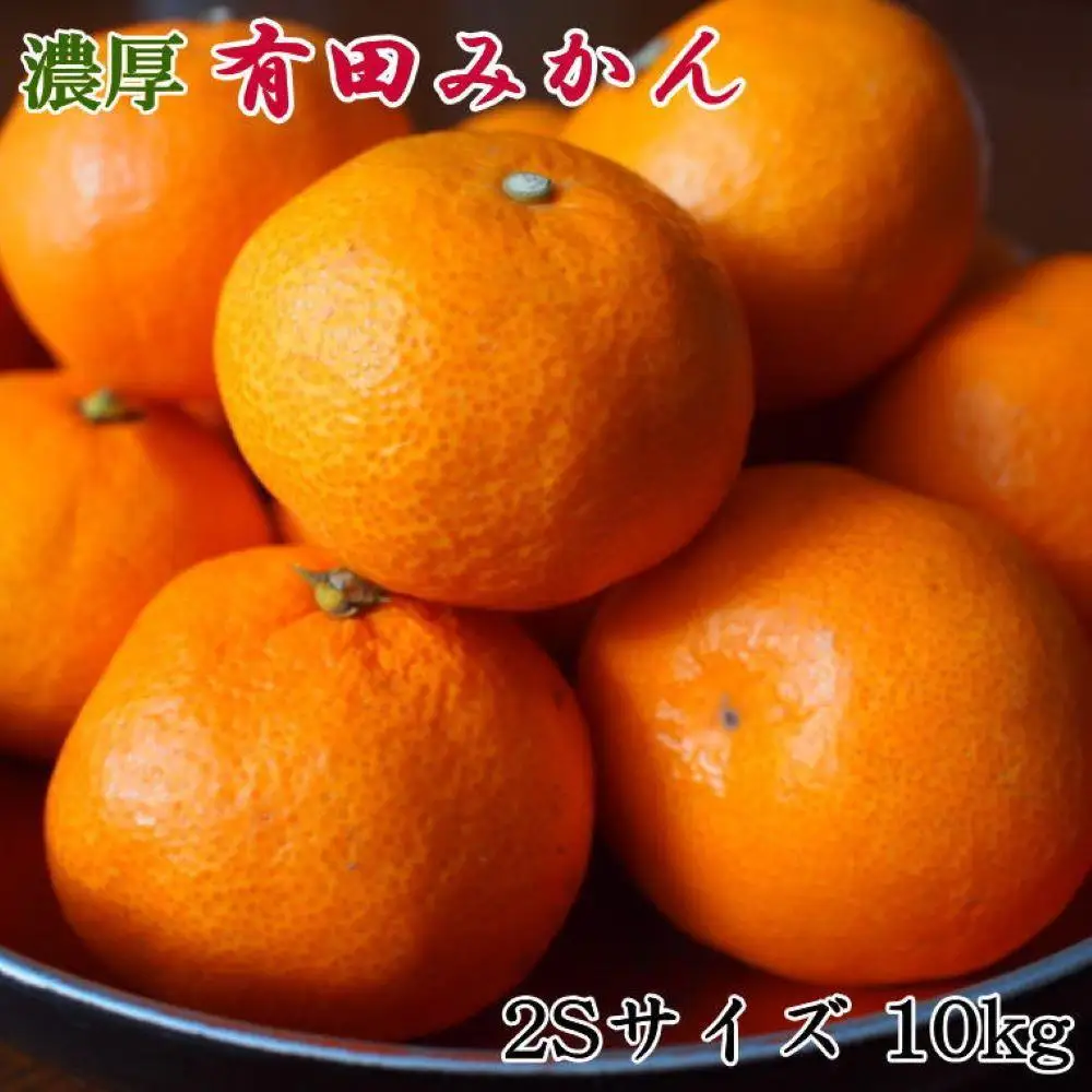 ［濃厚・秀品］和歌山有田みかん約10kg(2Sサイズ) ★2026年11月中旬頃より順次発送
