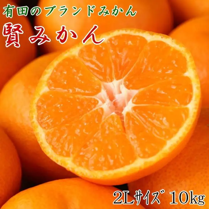 [秀品]有田のブランド「賢みかん」10kg(2Lサイズ)［2026年11月中旬頃より順次発送］