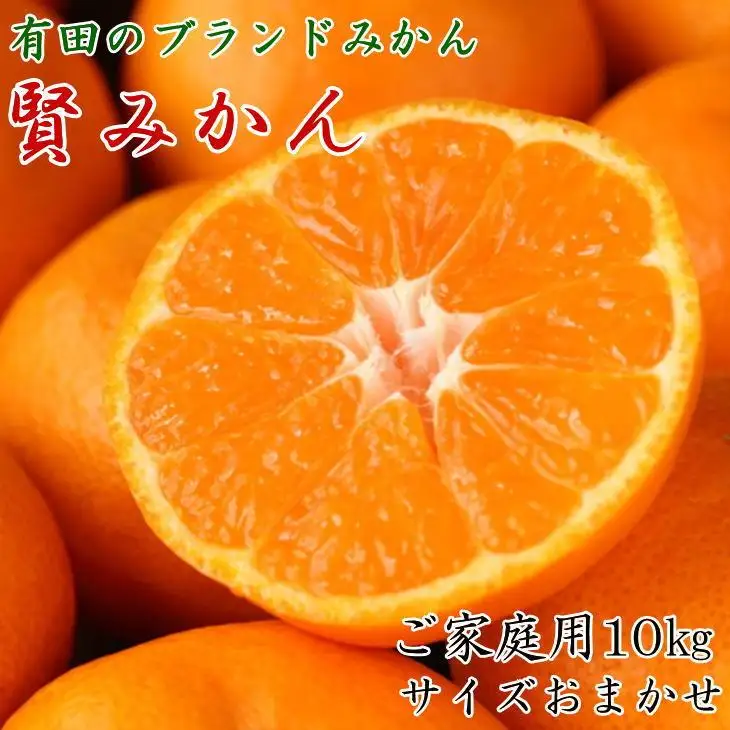 有田のブランド「賢みかん」10kg(S～Lサイズおまかせ）ご家庭用［2026年11月中旬頃より順次発送］
