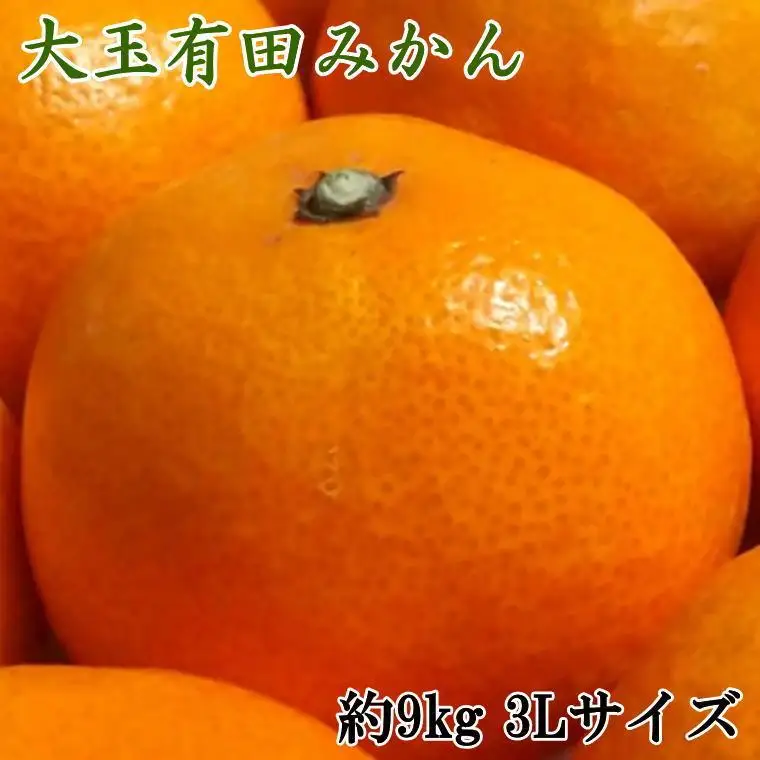 ［食べごたえ十分］和歌山有田みかん大玉約9kg(3Lサイズ・秀品）★2026年11月中旬頃より順次発送