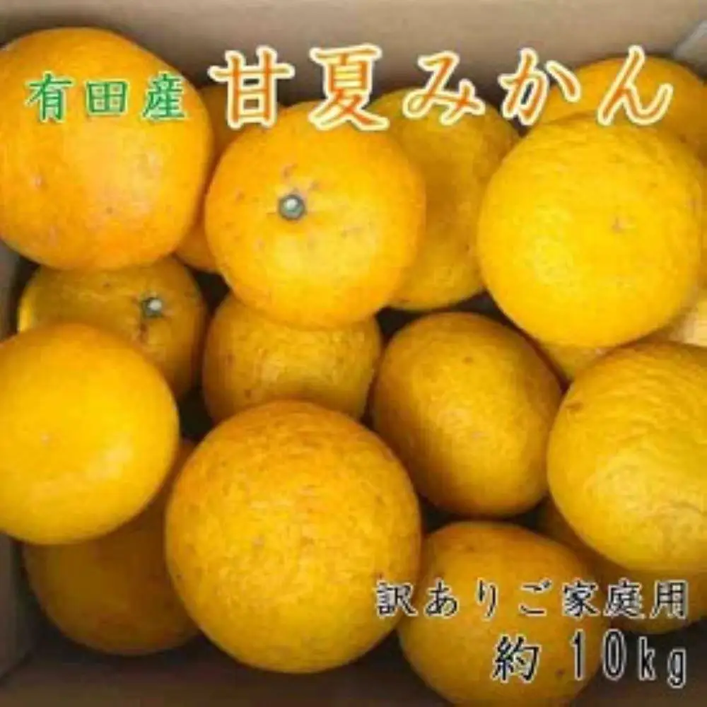 有田産訳ありご家庭用甘夏みかん約10kg（サイズ混合）★2027年4月中旬頃より順次発送予定