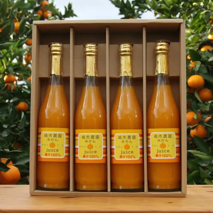 100％ みかんジュース 500ml 合計4本 セット ストレート 無添加 嶋市農園 ｜ 和歌山有田 丸絞り 和歌山 有田 国産 果汁