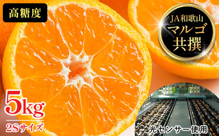 有田みかん 5kg 2Sサイズ 光センサー使用 高糖度