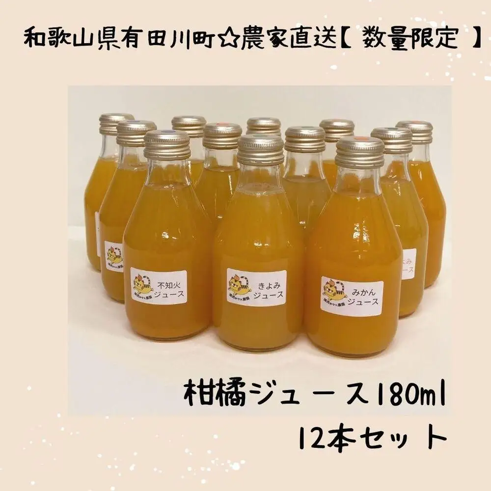 農家直送！数量限定 有田みかんの産地から届く 果汁100％！ 搾りたての柑橘ジュース 180ml×12本