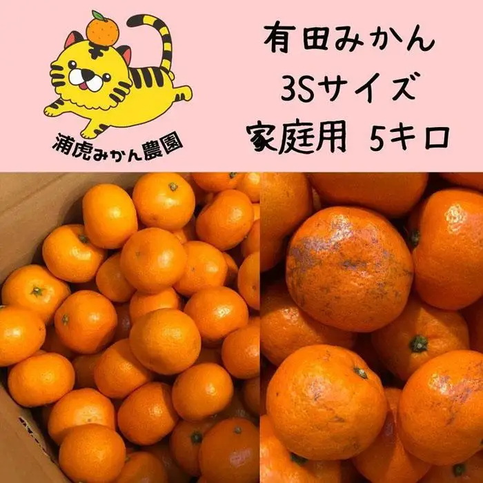 12/25までにご入金確認分は年内発送確定！温州みかん 家庭用箱込み5kg ( 3Sサイズ以下指定)小さなミカンが好きな人におすすめ
