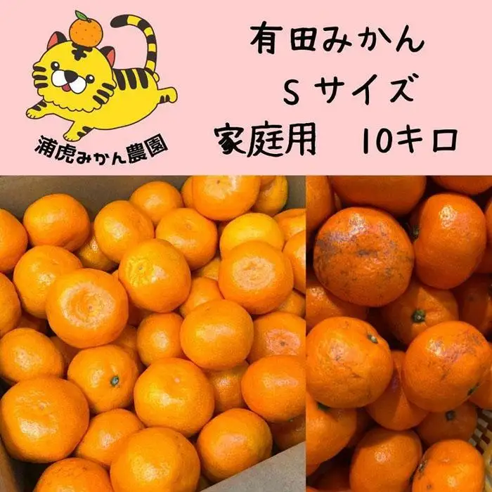 12/25までにご入金確認分は年内発送確定！訳あり温州みかん 家庭用 箱込み10kg (Sサイズ指定)