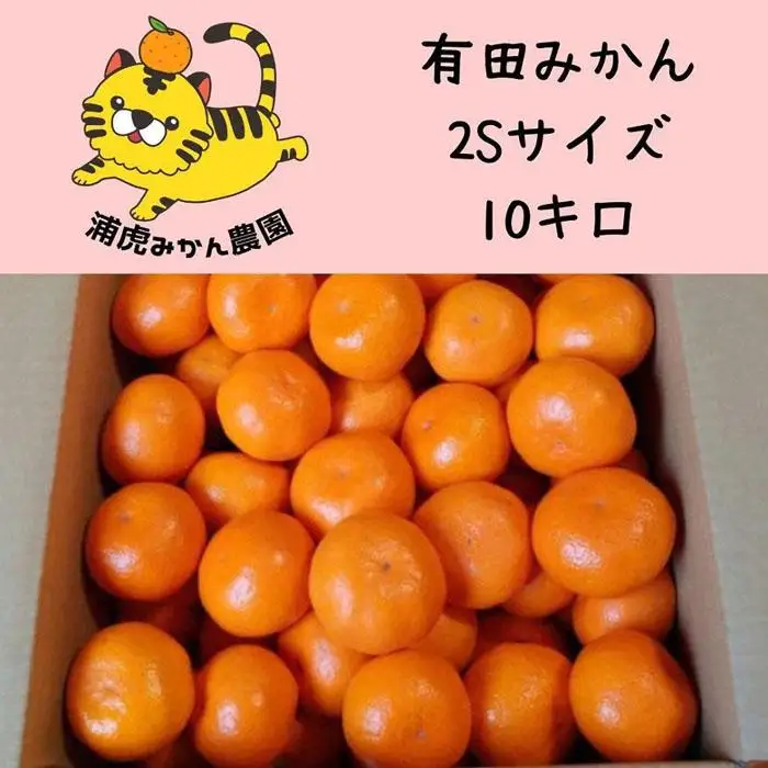 12/25までにご入金確認分は年内発送確定！きれいな温州みかん 寄贈用にも 箱込み10kg（SSサイズ）小さなミカンが好きな人におすすめ
