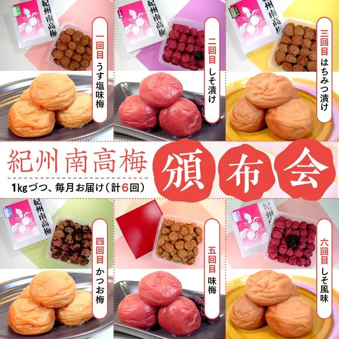 紀州南高梅　頒布会（計6回）
