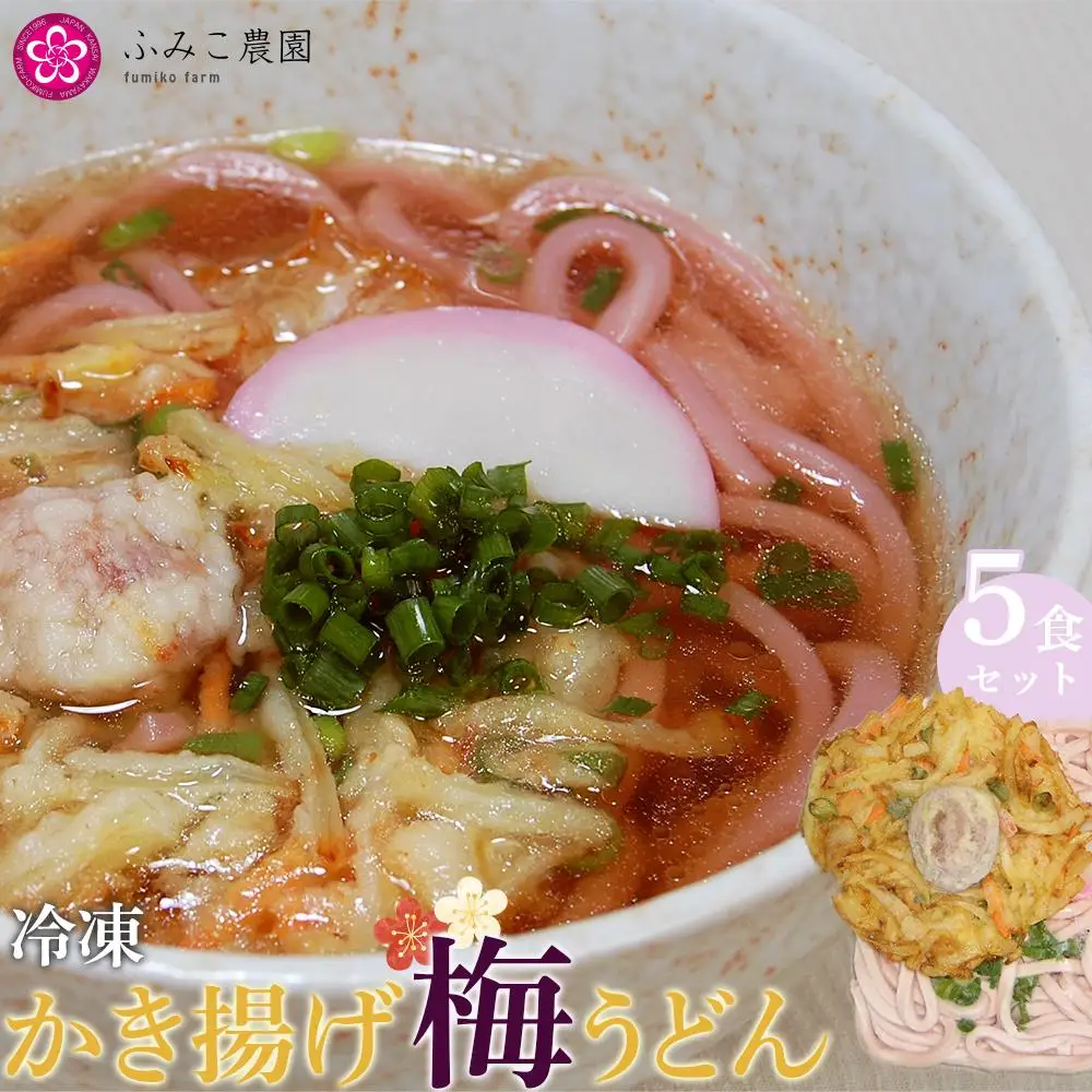 冷凍　かき揚げ梅うどん５食