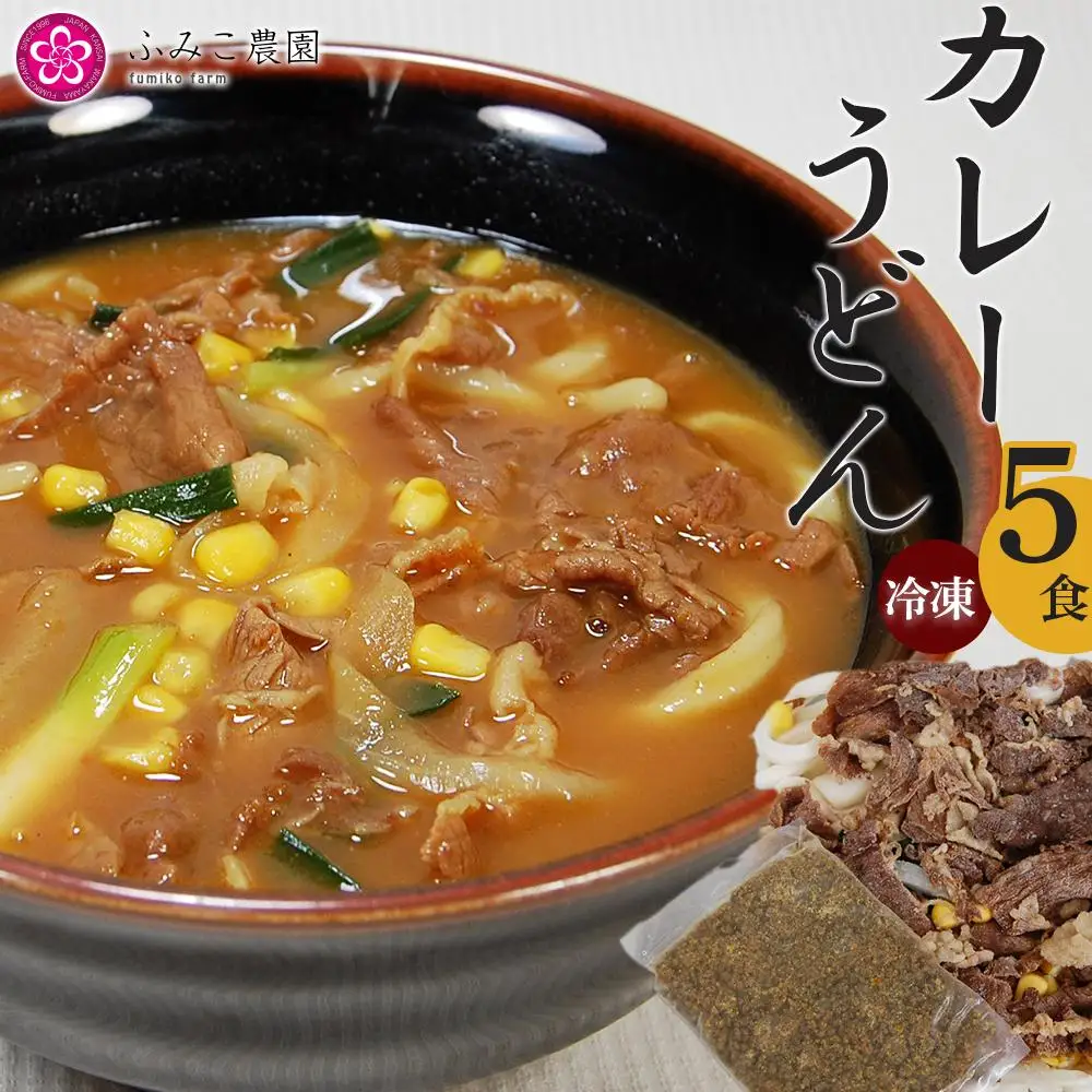 冷凍　カレーうどん５食