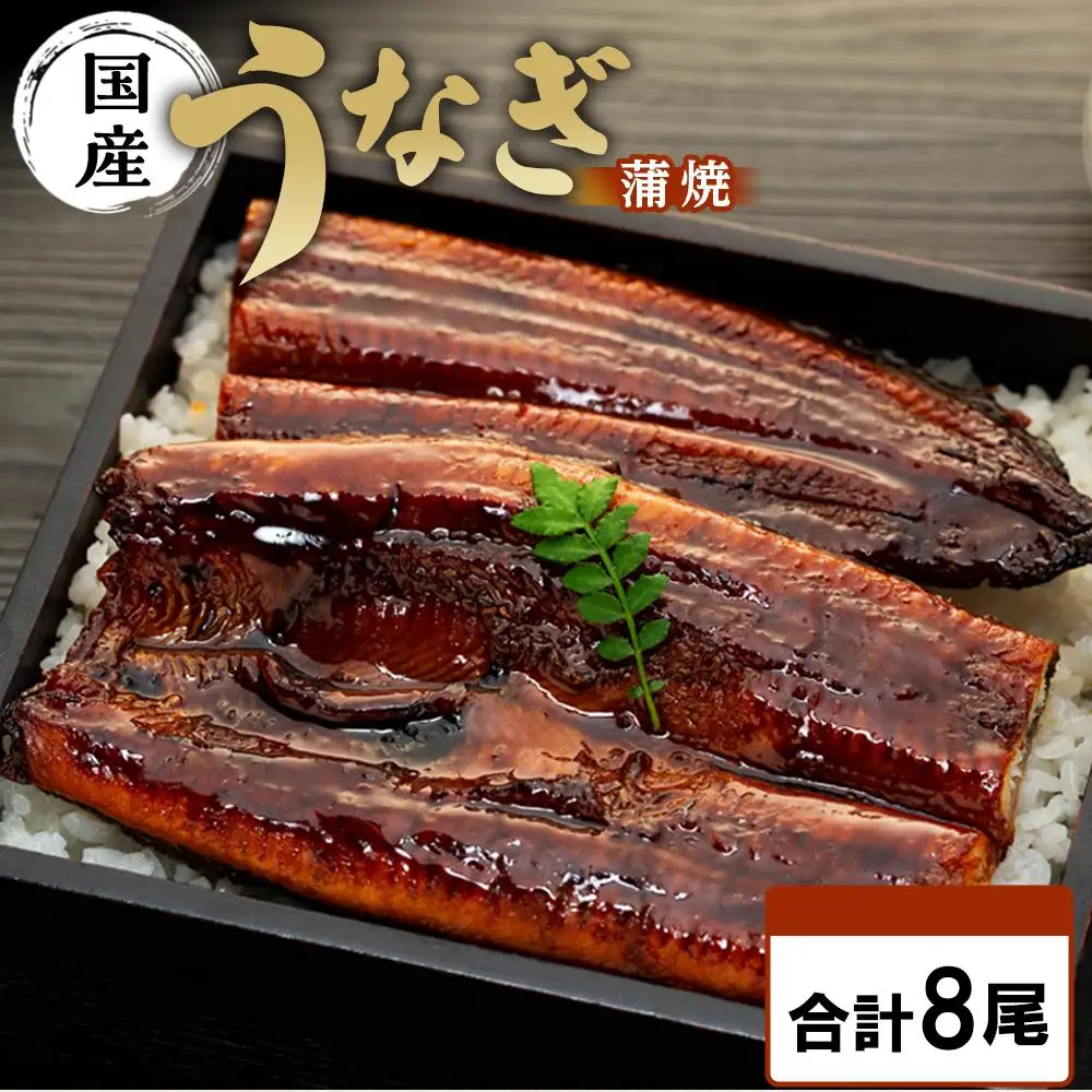 国内産うなぎ蒲焼８尾！うなぎ