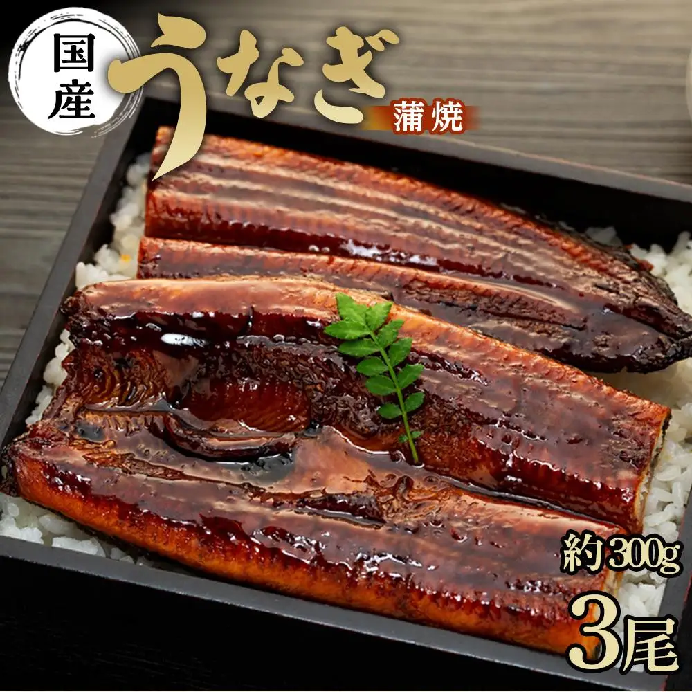 国産 うなぎ蒲焼 3本 計 約300g 数量限定 うなぎ