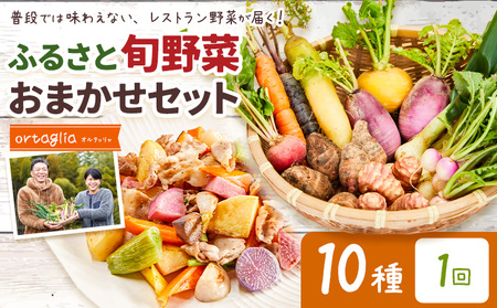 季節の旬野菜 おまかせ10種セット 【配送不可地域あり】 