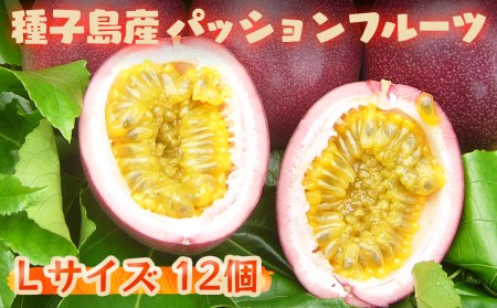 【 6月下旬～8月初旬 先行予約 】 種子島 さご農園 パッションフルーツ サマークイーン (12個)　NFN039【300pt】
