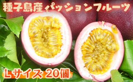 【 6月下旬～8月初旬 先行予約 】種子島 さご農園 パッションフルーツ サマークイーン (20個)　NFN040【450pt】 