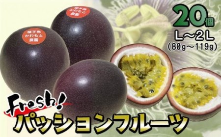 【 6月下旬～8月初旬 先行予約 】種子島 かわもと農園 パッションフルーツ サマークイーン (20個) 　NFN438【450pt】 