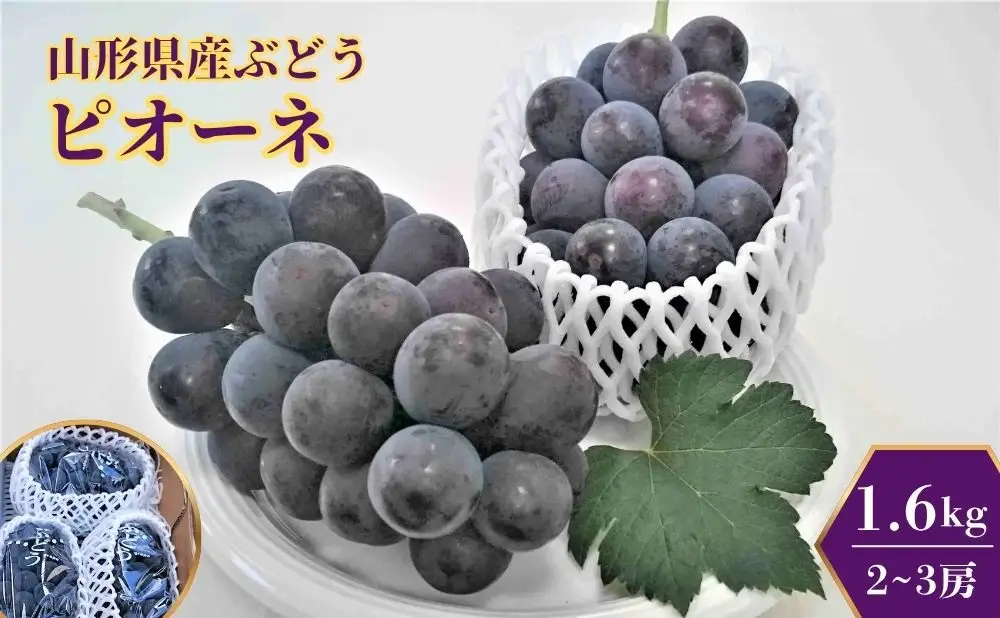 ぶどう（ピオーネ）１.６ｋｇ　0009-2602