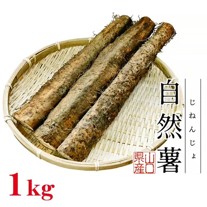 Agrimottoの「自然薯」１kg